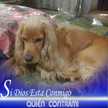 Orlando Soler