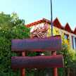belen brandan aranguren