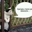 Farkhanah Farouk Achmad