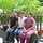 Saro Bose Saro Bose