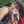 Jimena Donato Jimena Donato