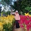 Fariathy