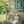 Gehad_Badr