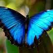 🦋🍂🦋🍂🦋🍂🦋