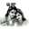 Deepa Shah