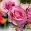 rahil