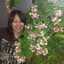 julietlin