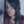 Carol Conde Carol Conde