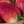tutty-frutty