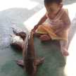 ลูกชาย คนเล็ก