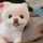 Linh Linh