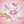 Evaki_star