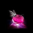xiunely