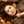 زهرا رضائی