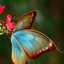 ahlam3876