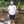 wisnu ginanjar