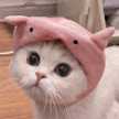 CHU