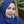 nurwahyuni arifin
