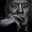 Noureddine Goudjil