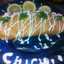 Chichi Rachida
