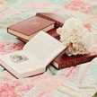 Ahlam Fares