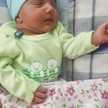 Pari