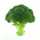 Broccoli Broccoli
