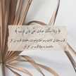 ام عبدالله