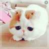Asoo"-" Queen Asoo"-" Queen