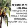 Egdda Vilchez Egdda Vilchez