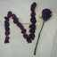 Nj kh