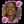 Chy Simeon