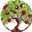 Jade Tree Tree