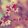 ام اويس 