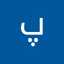 پریسا سلامی