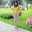 Dwi Maretha