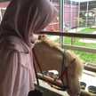 Dapur Ulik