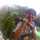 Johan prabowo