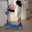Šêm Iřa Mis
