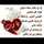 💞اللهم صلي على سيدنا محمد💞
