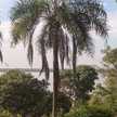 Guadalupe Agretti