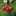 sourcherry sourcherry
