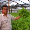 Alvaro Sánchez