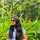 pooja sagar