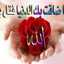 Malak Rohy ملك روحي