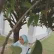 Indah Permatasari