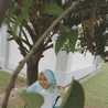 Indah Permatasari