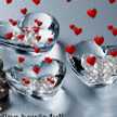 Cook_praba_06