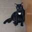 Fifi