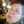 Joeleen10